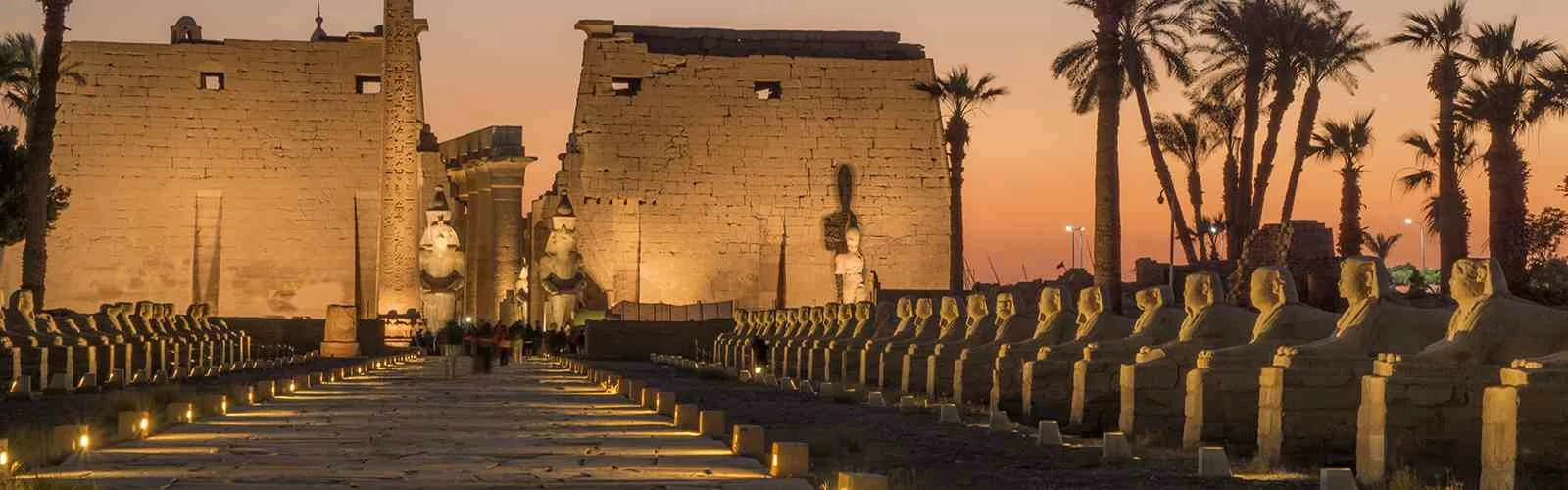 toor image