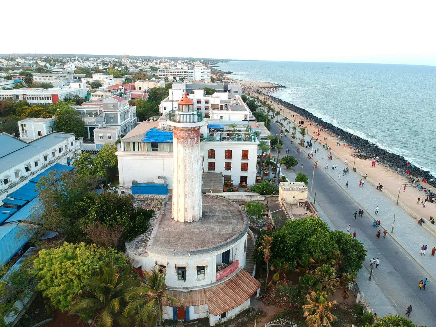 toor image
